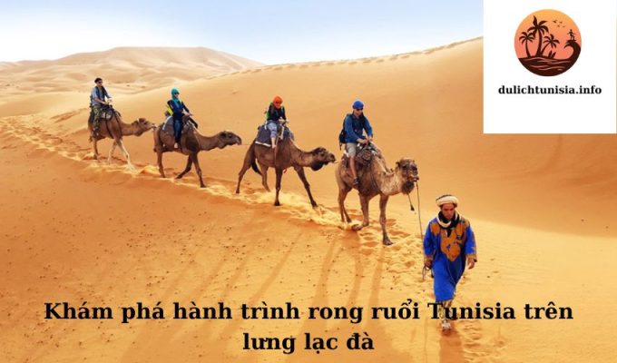 Khám phá hành trình rong ruổi Tunisia trên lưng lạc đà