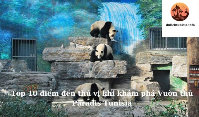 Top 10 điểm đến thú vị khi khám phá Vườn thú Paradis Tunisia